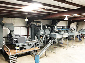 Pecan Cleaning Plant