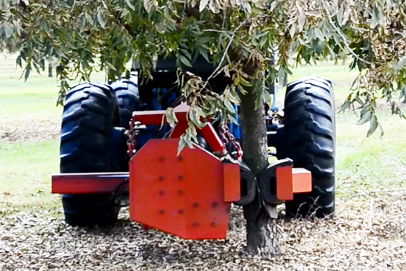 tree shaker clamped to tree
