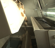 interior view of sorter with nuts falling